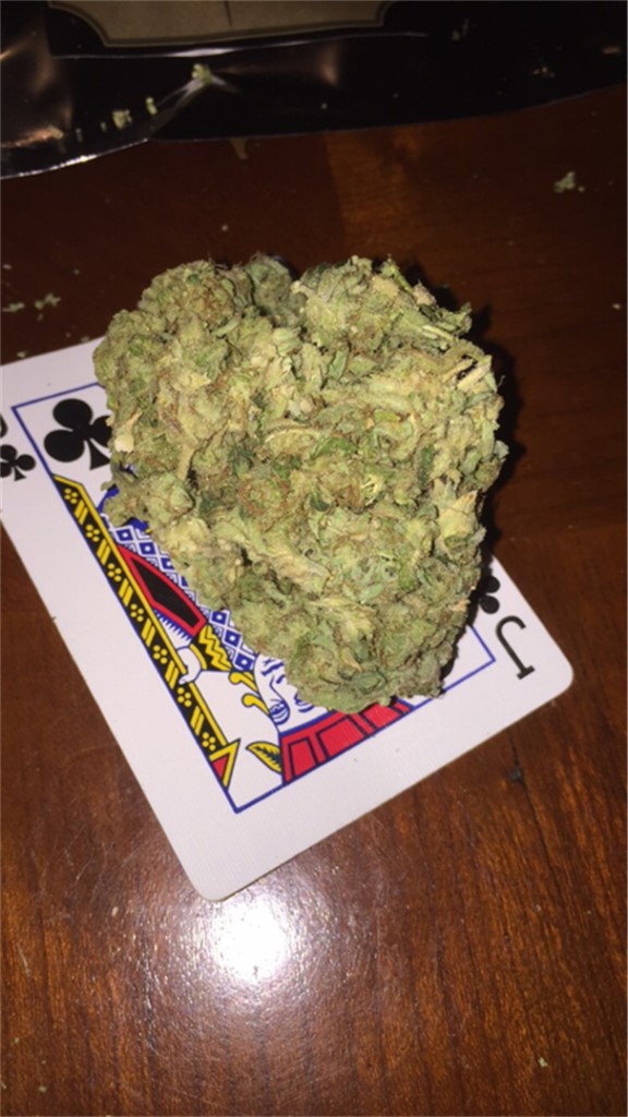 Foto de la variedad Funky Monkey