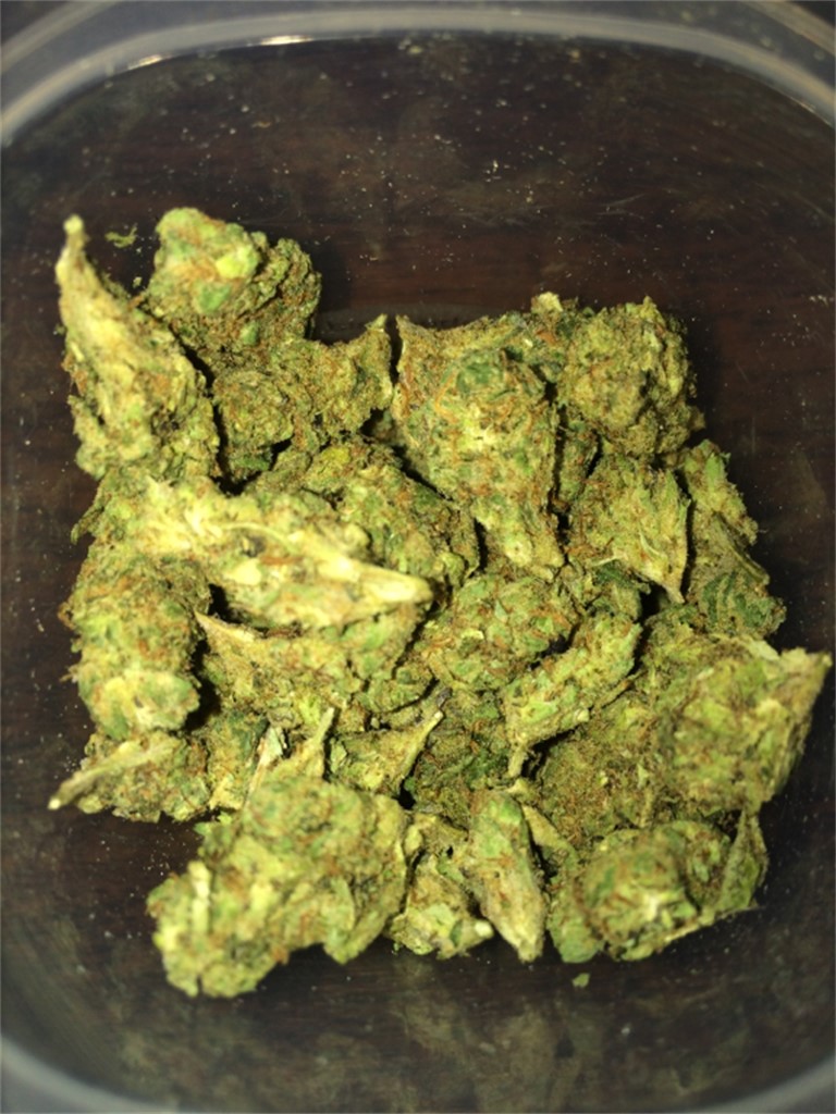 Foto de la variedad G13-Diesel