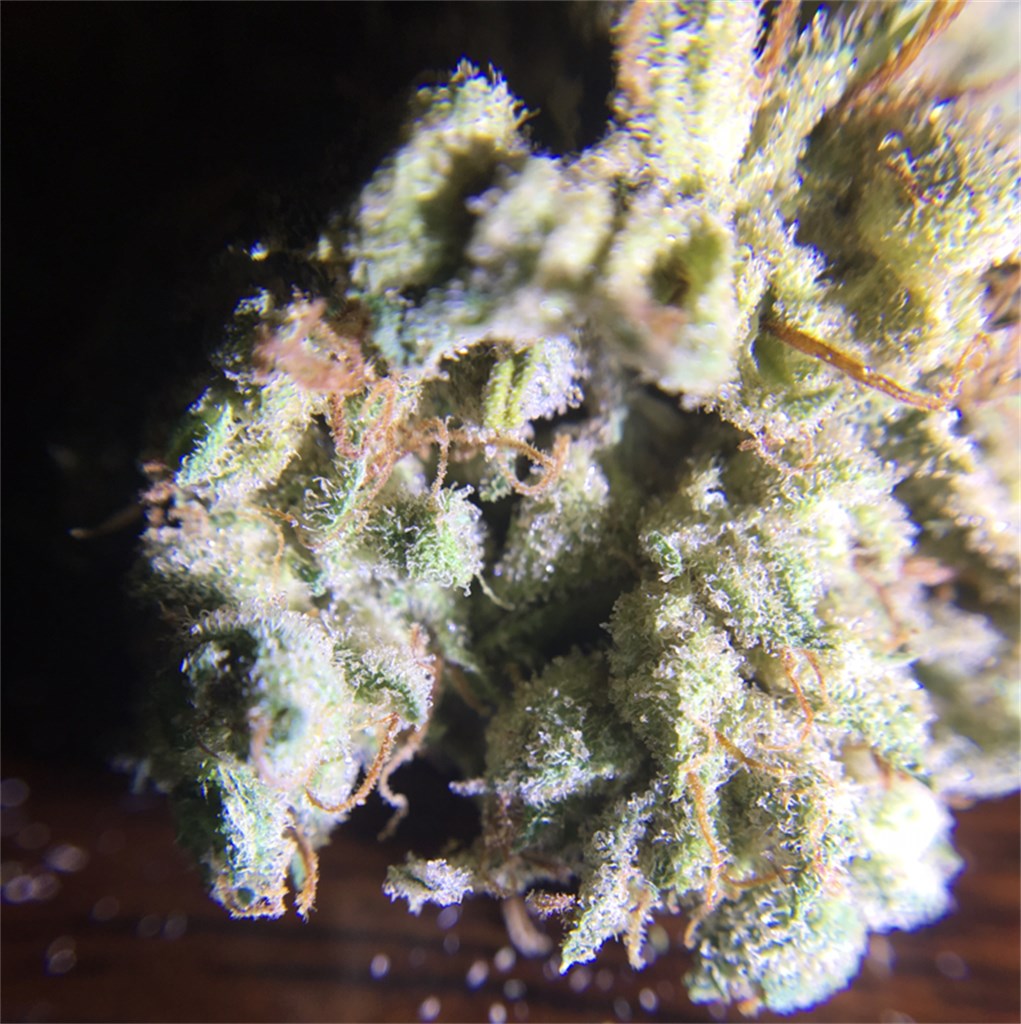 Galactic Jack