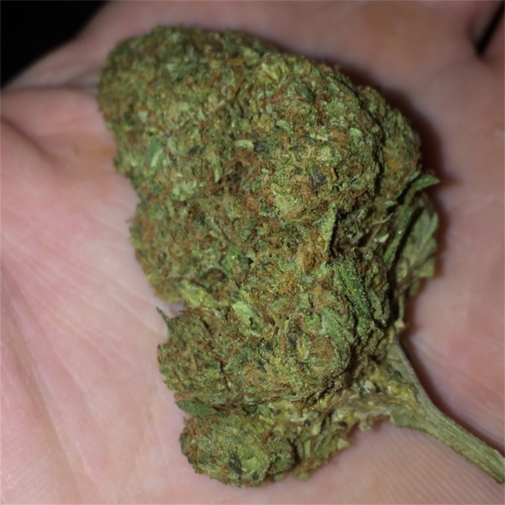 Gatekeeper OG