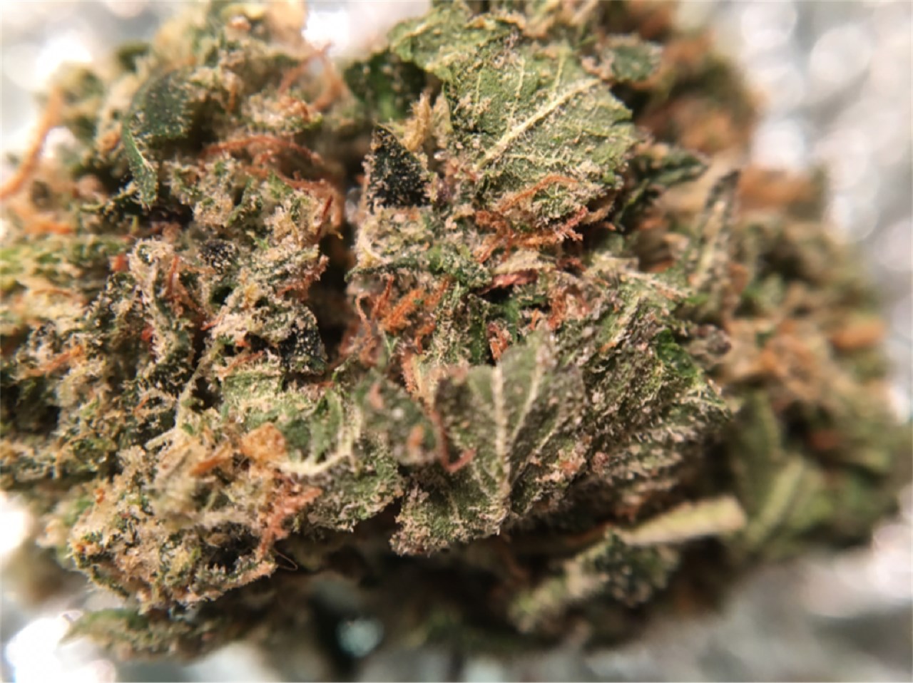 Ghost Bubba