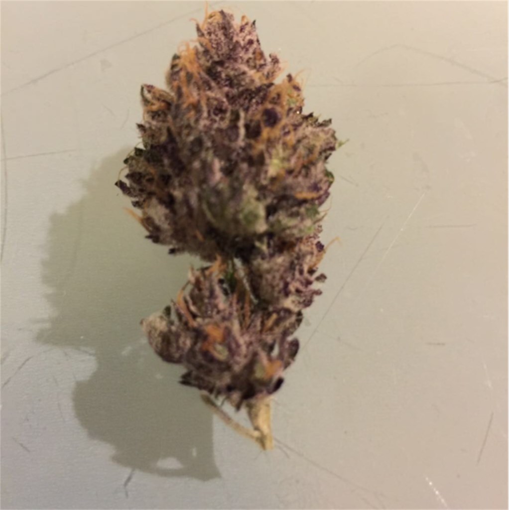 Ghost OG