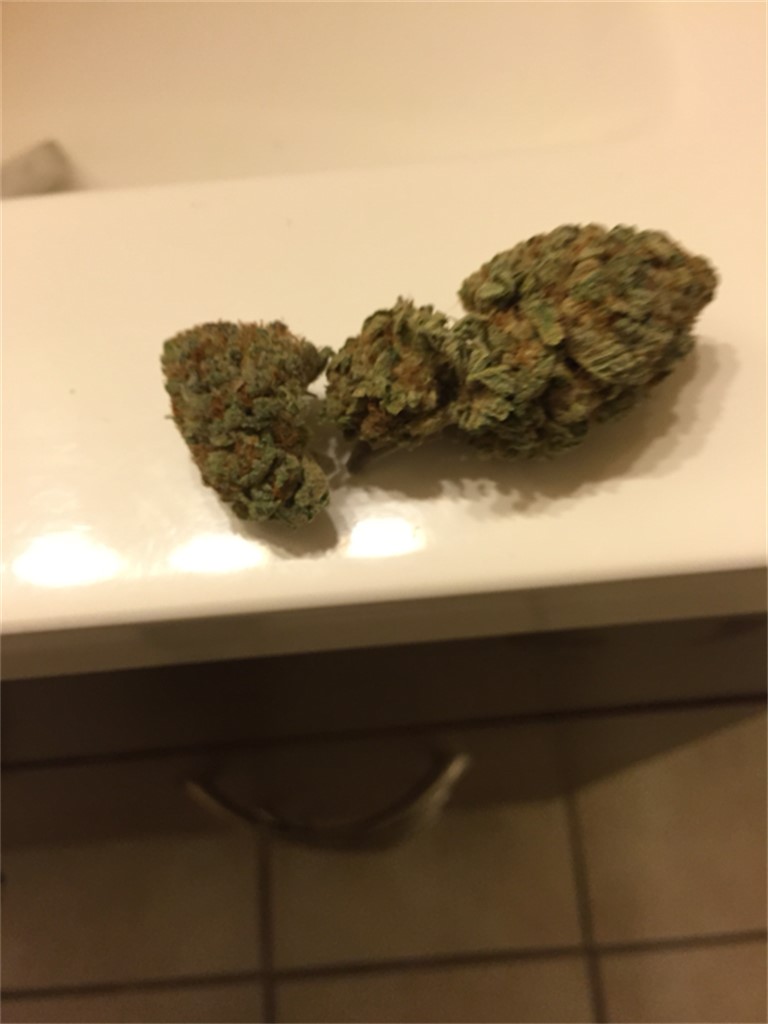 Foto de la variedad Ghost Ship