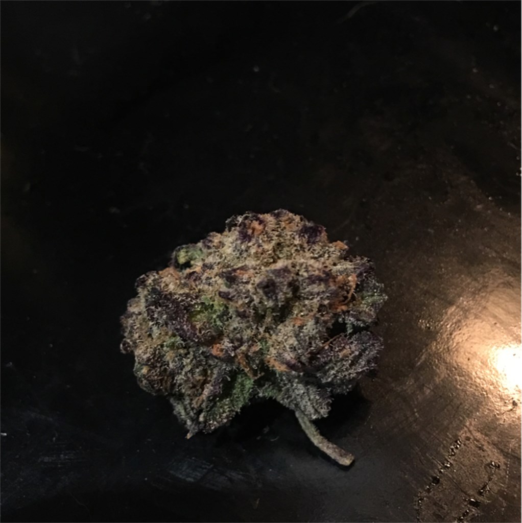 Foto de la variedad God's Green Crack