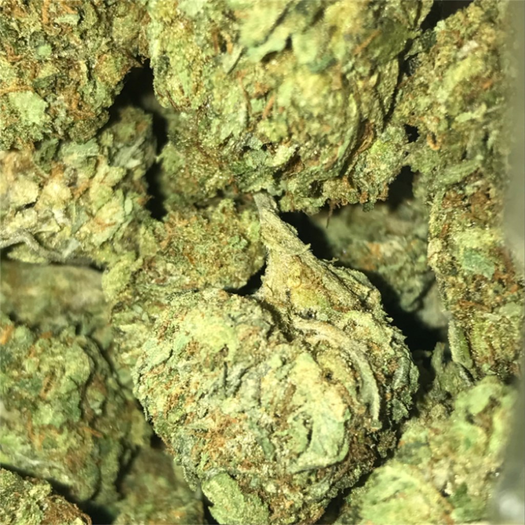 Foto de la variedad God's Treat
