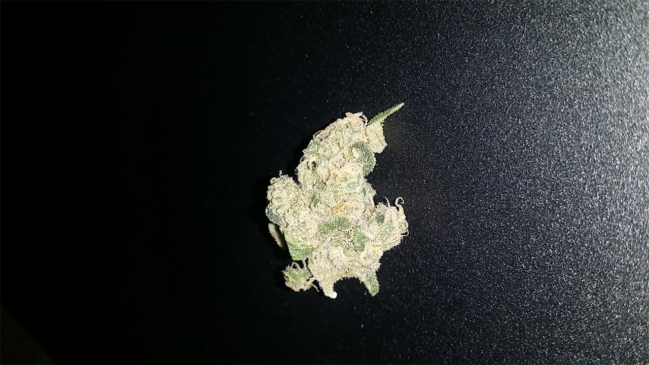 Foto de la variedad Godberry