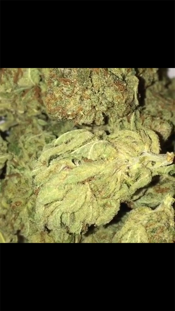 Godfather OG