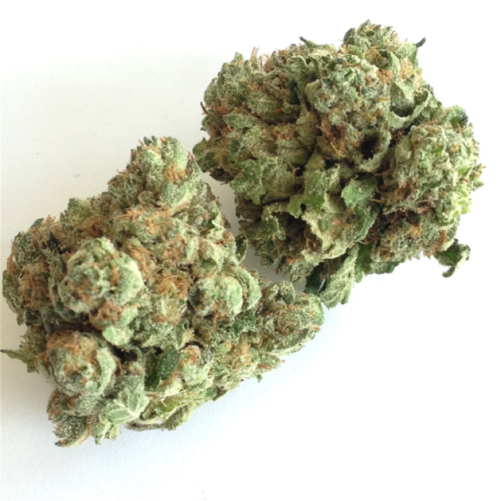 Foto de la variedad Godzilla Glue
