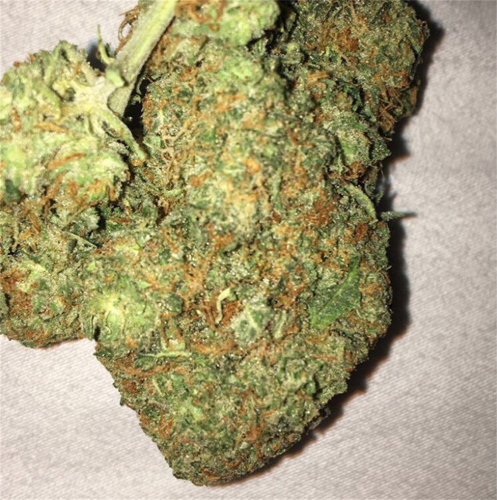 Foto de la variedad Golden Berry