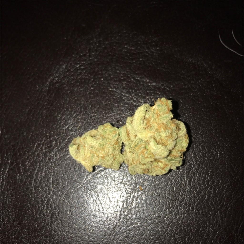 Foto de la variedad Golden Ticket