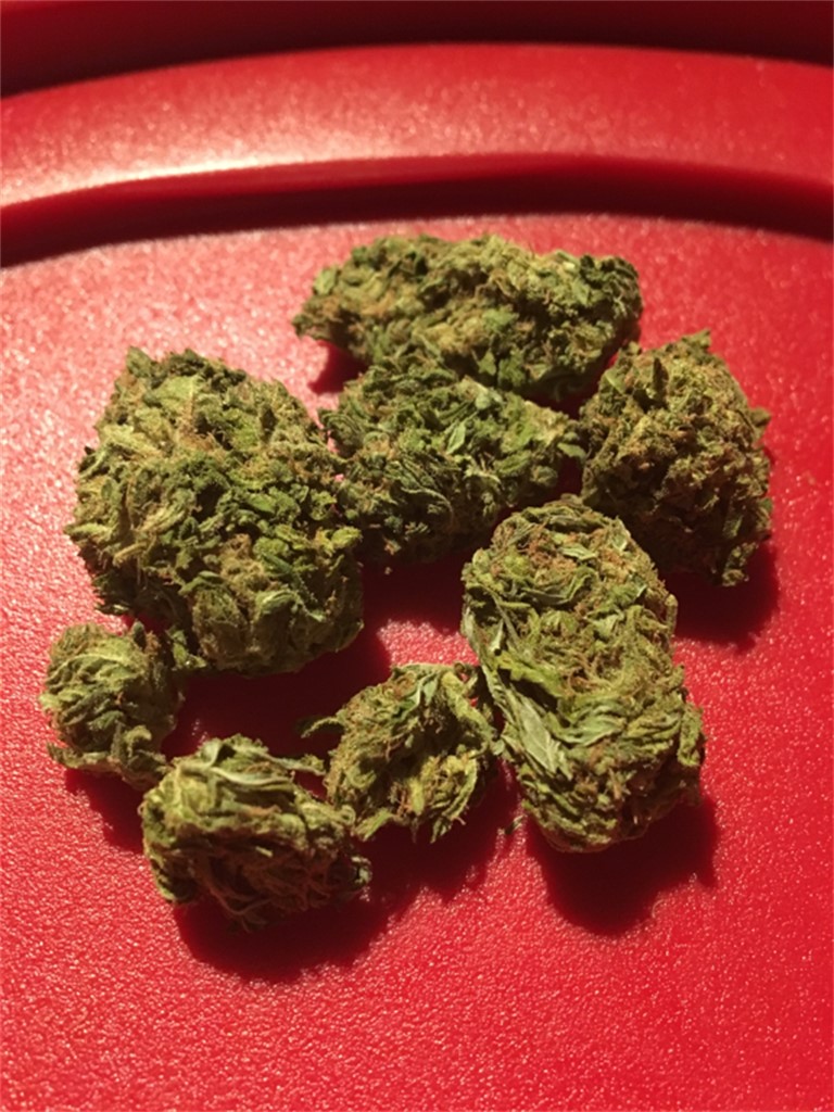 Foto de la variedad GooBerry