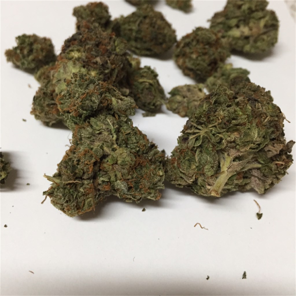 Foto de la variedad Gorilla Biscuit