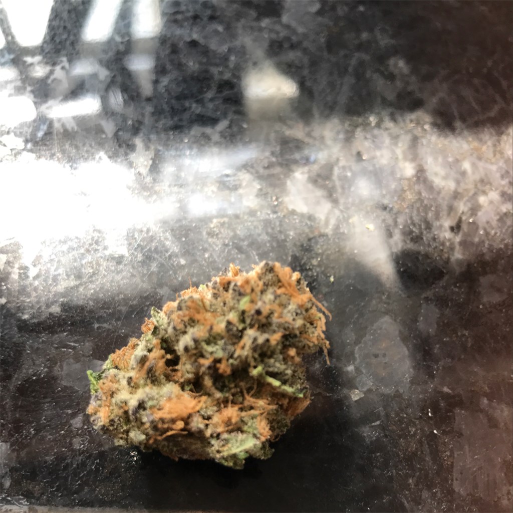 Foto de la variedad Grandoggy Purps
