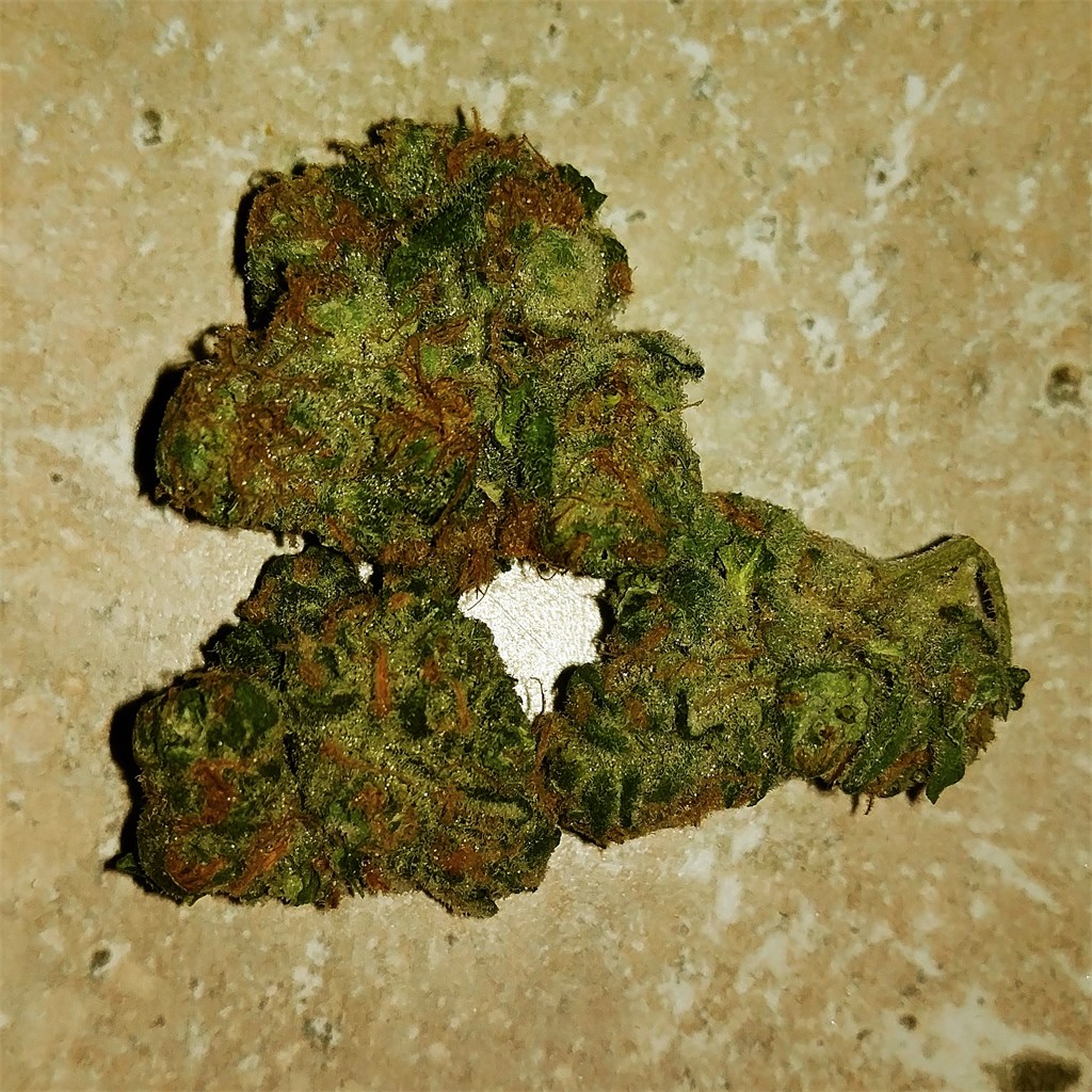 Foto de la variedad Grape Stomper