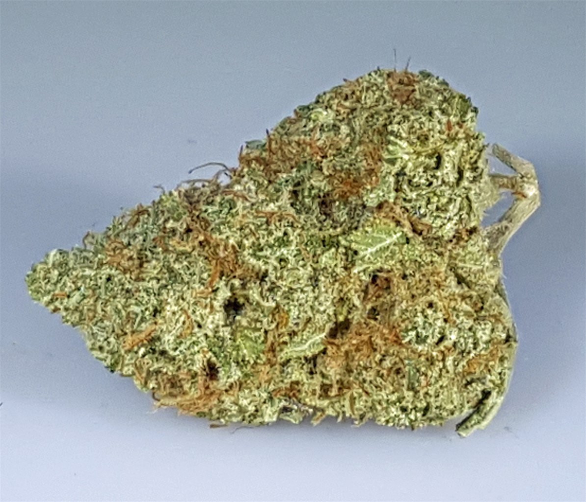 Grapefruit Kush