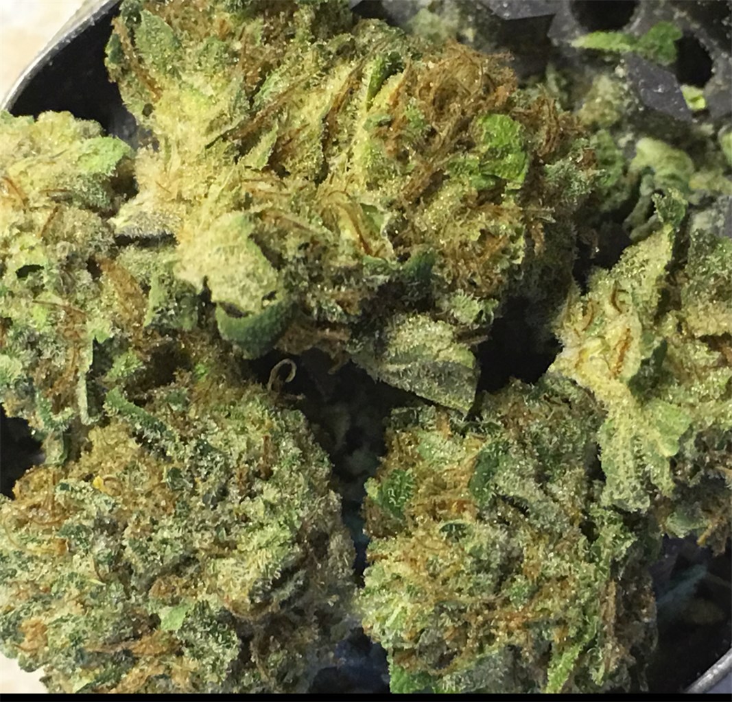 Grease Monkey