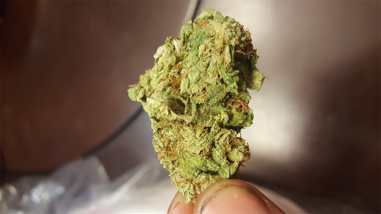 Green Avenger