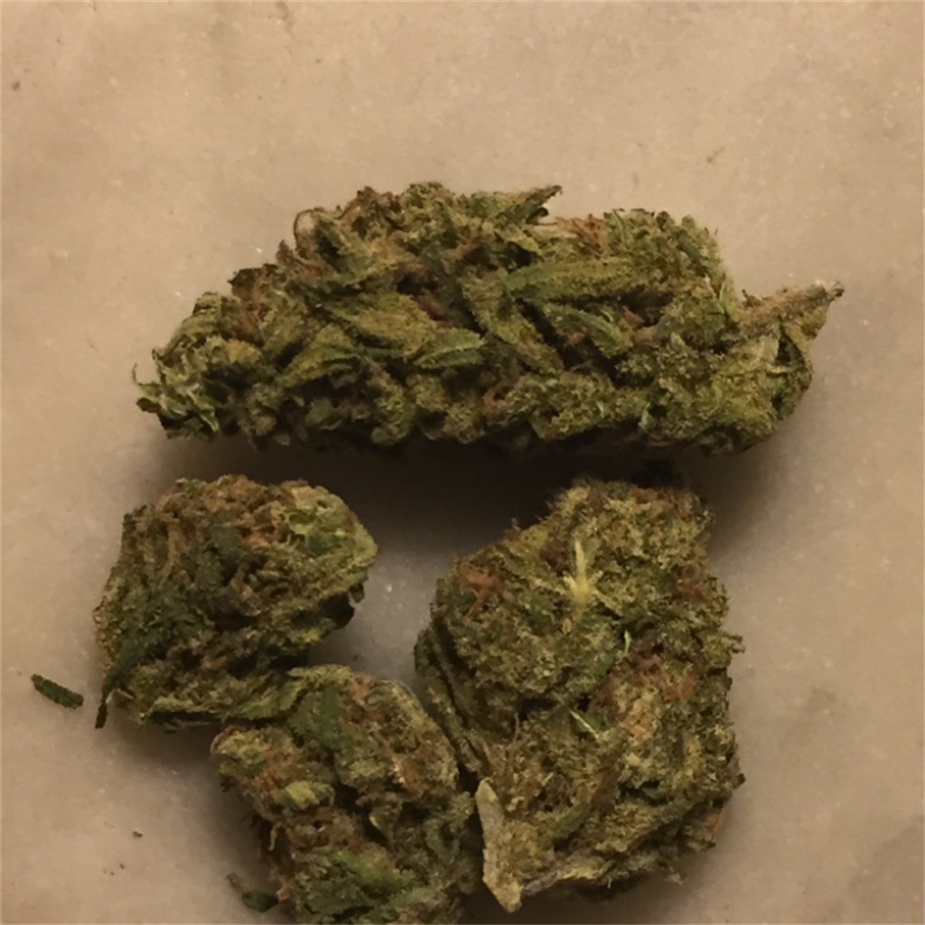 Foto de la variedad Green Dragon