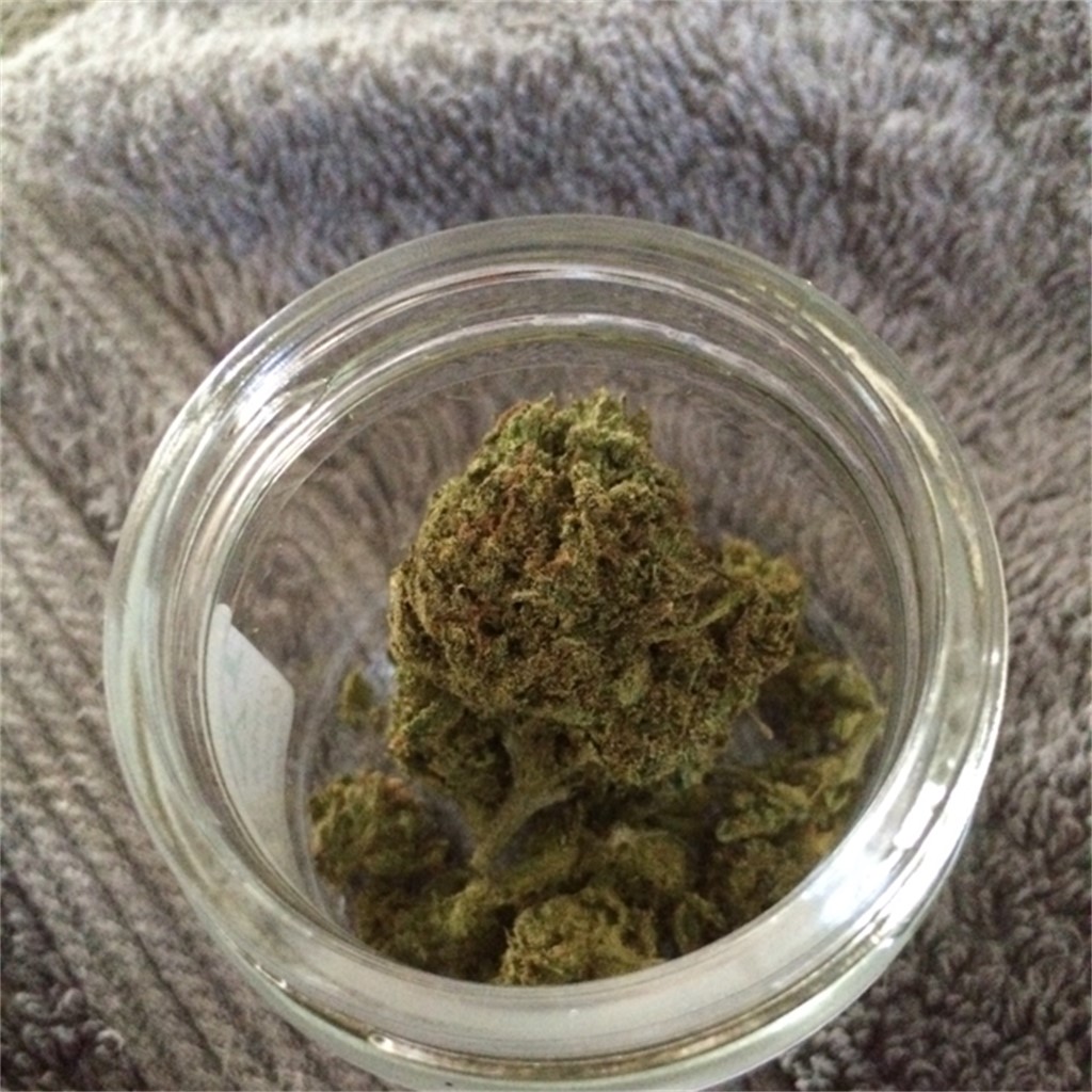 Foto de la variedad Green Goblin
