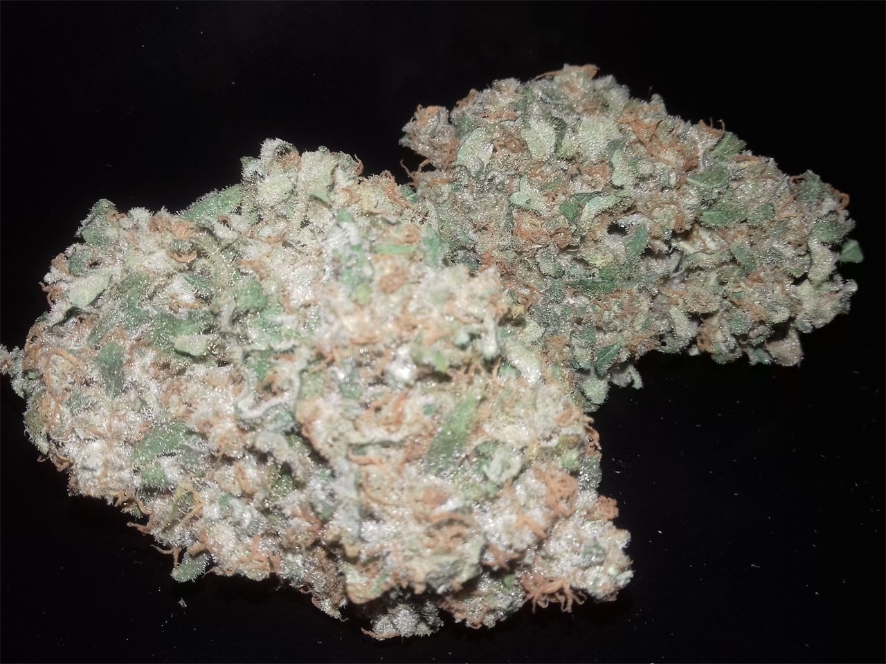Green Poison