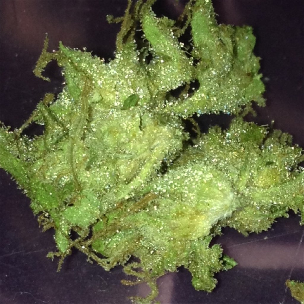 GRiZ Kush