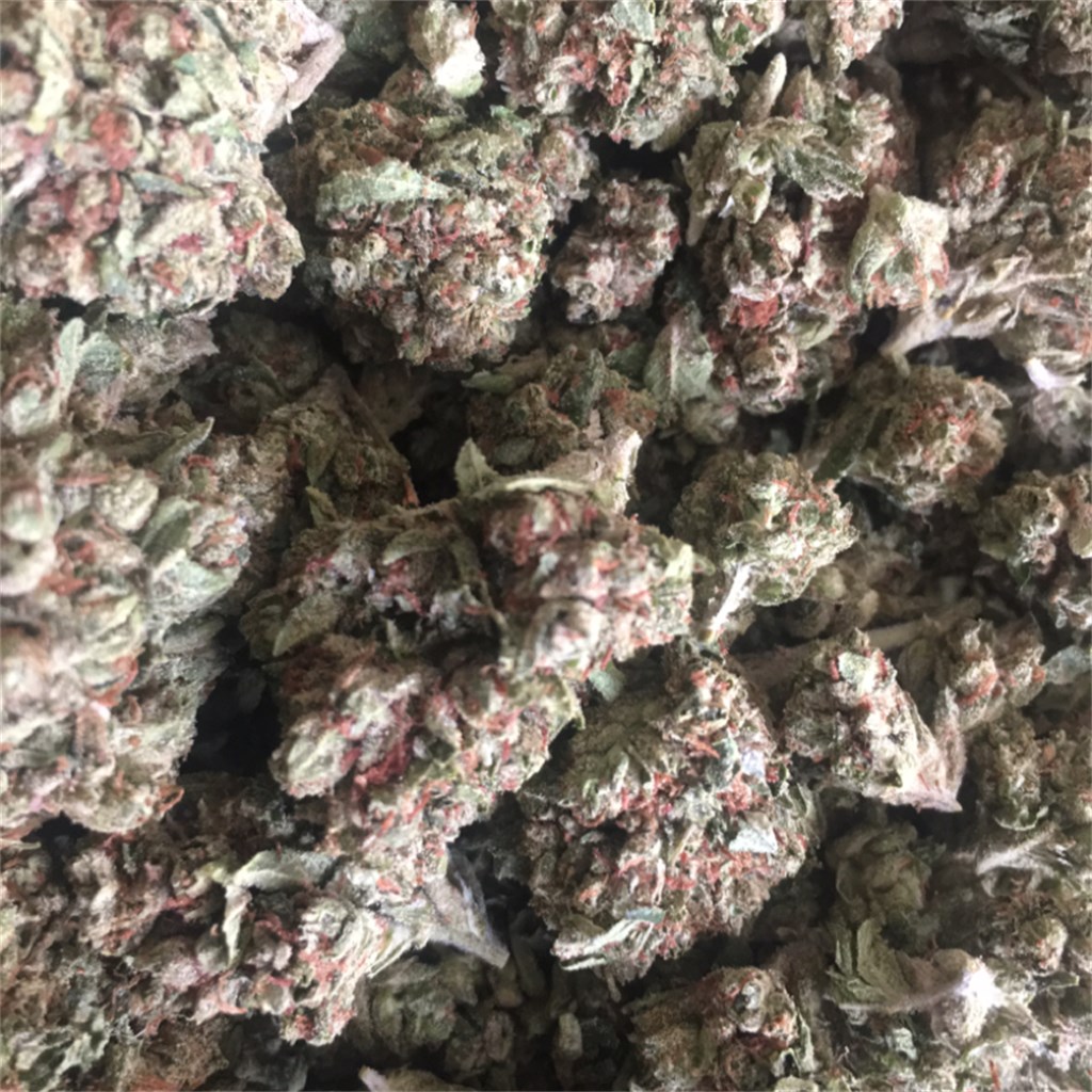 Gucci OG