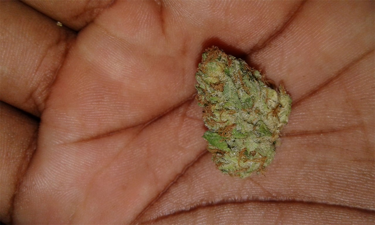 Hardcore OG
