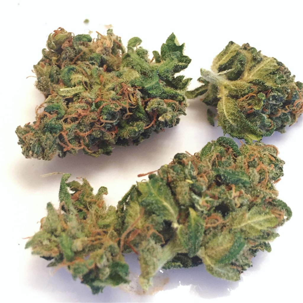 Foto de la variedad Harle-Tsu