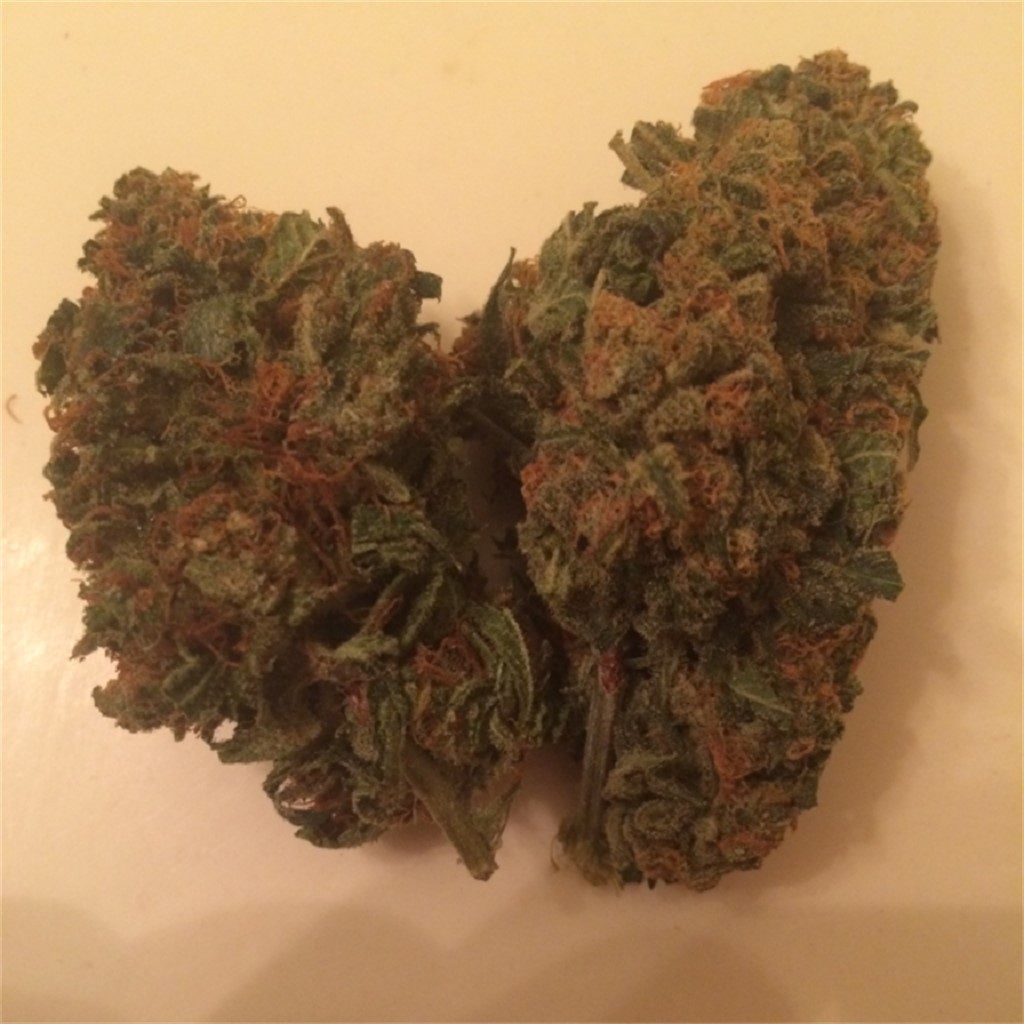 Foto de la variedad HashBar OG