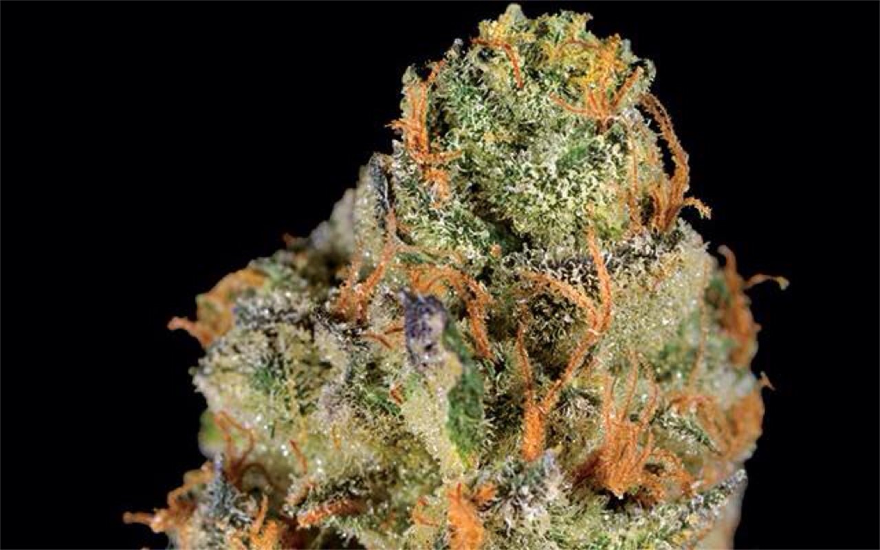 Hashberry