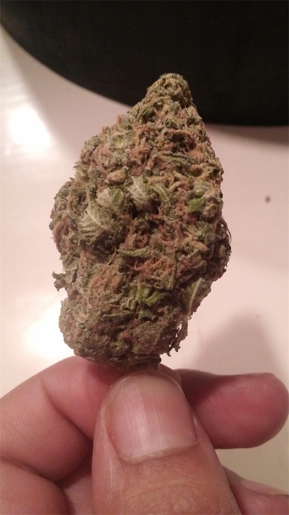 Hawaiian Diesel