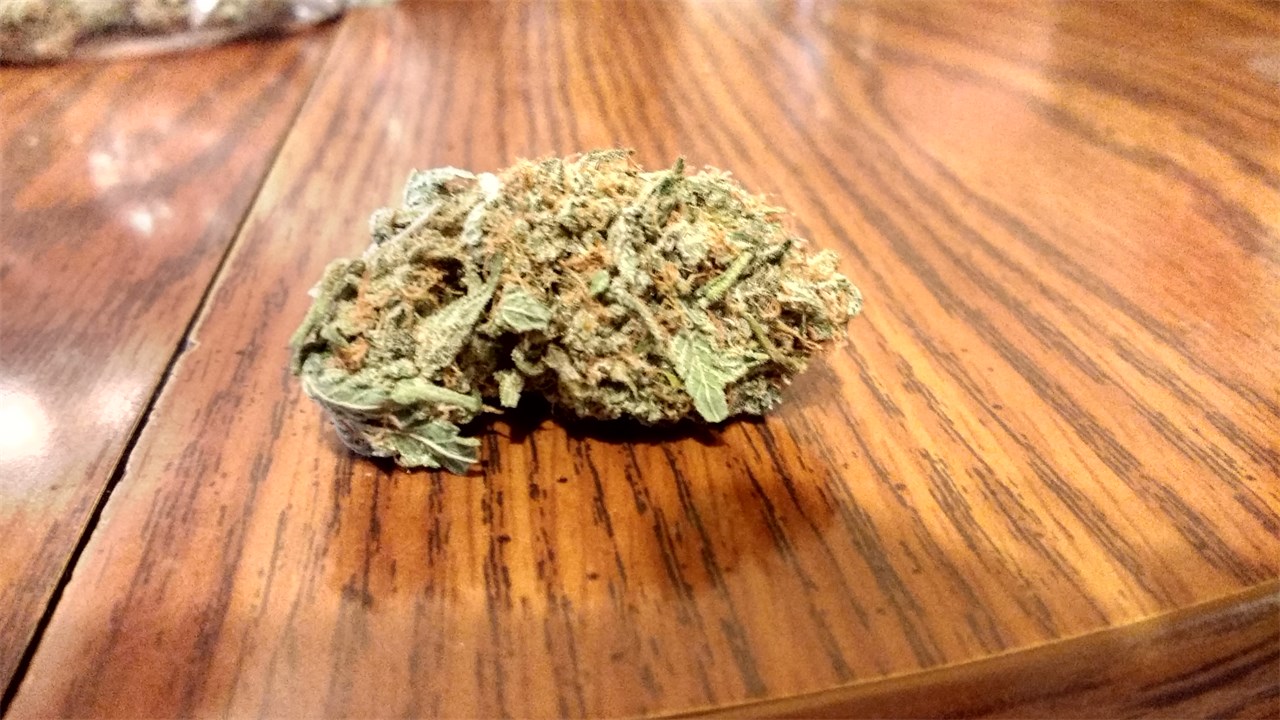 Foto de la variedad Hawaiian Skunk