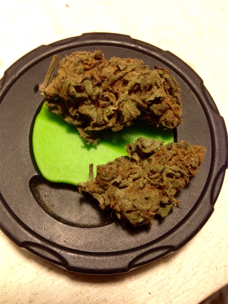 Hawaiian Thunder Fuck