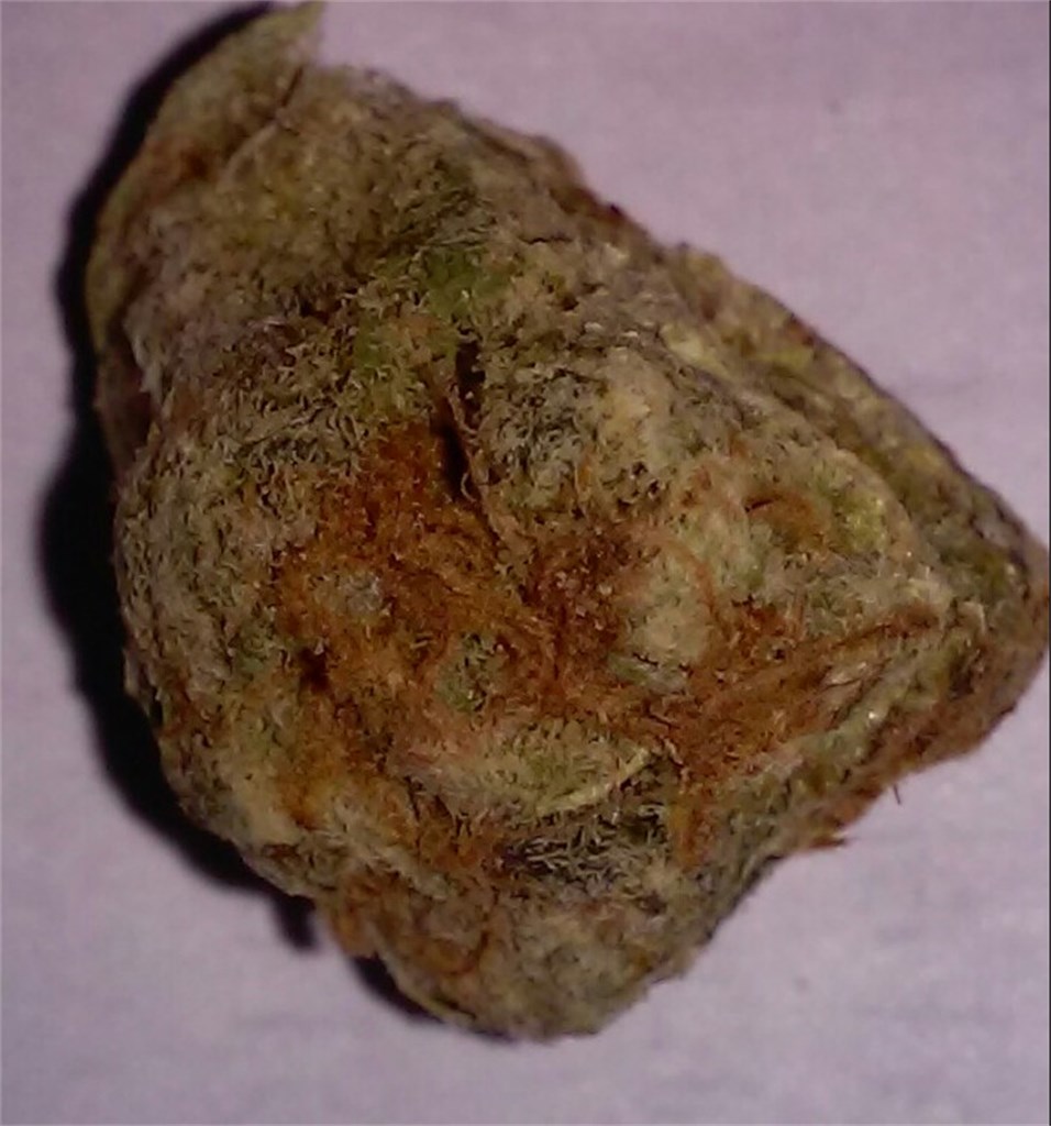 Haze Wreck