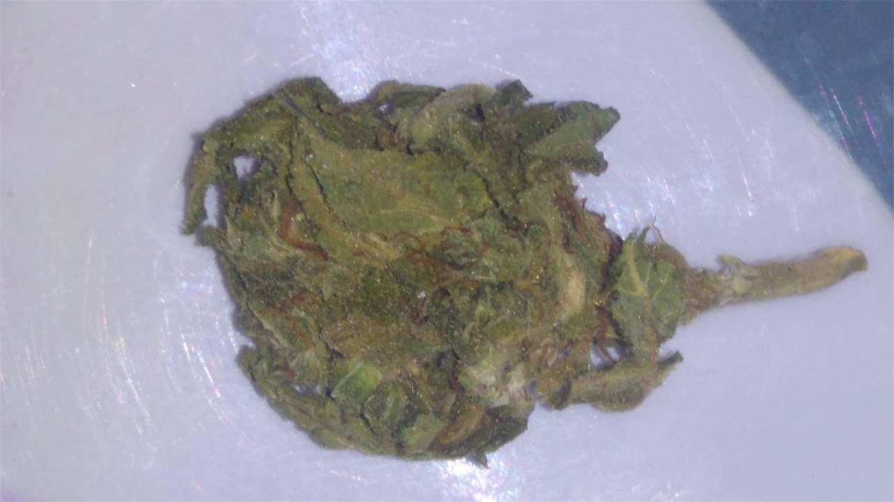 Heavy Duty Fruity