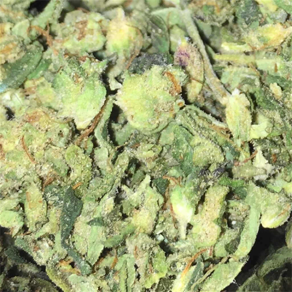 Foto de la variedad Herijuana
