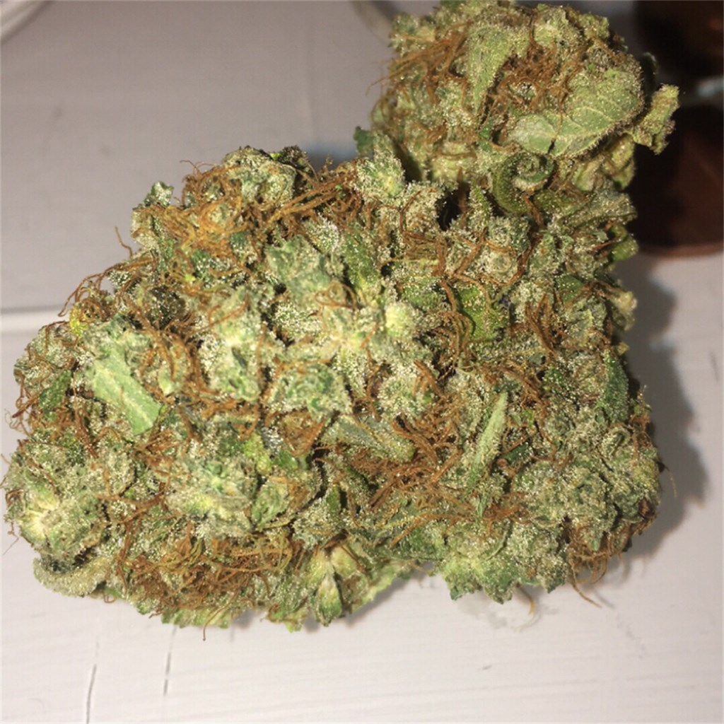 Foto de la variedad Himalaya Gold