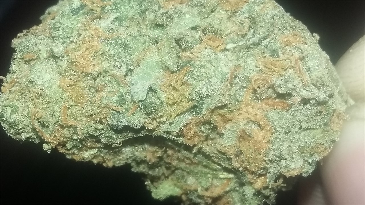 Hippie Crippler