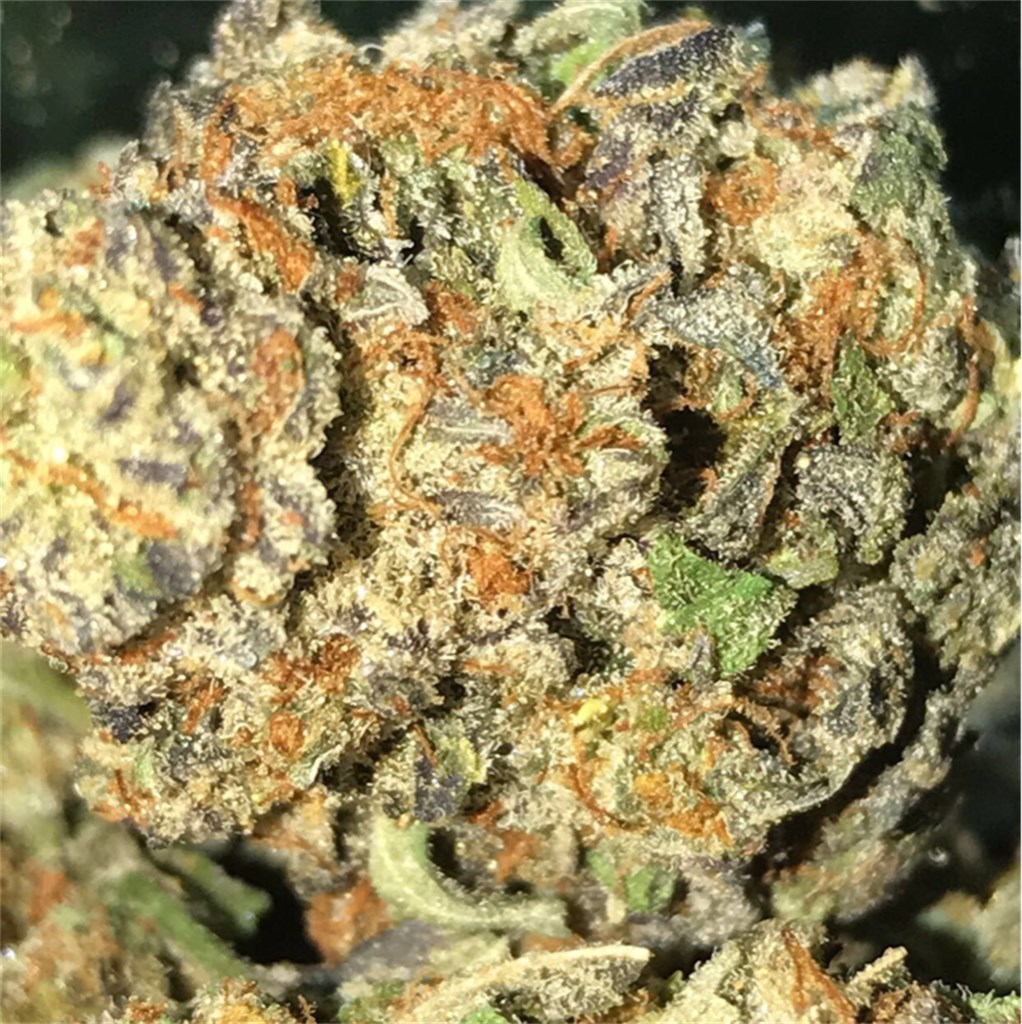 Hog's Breath