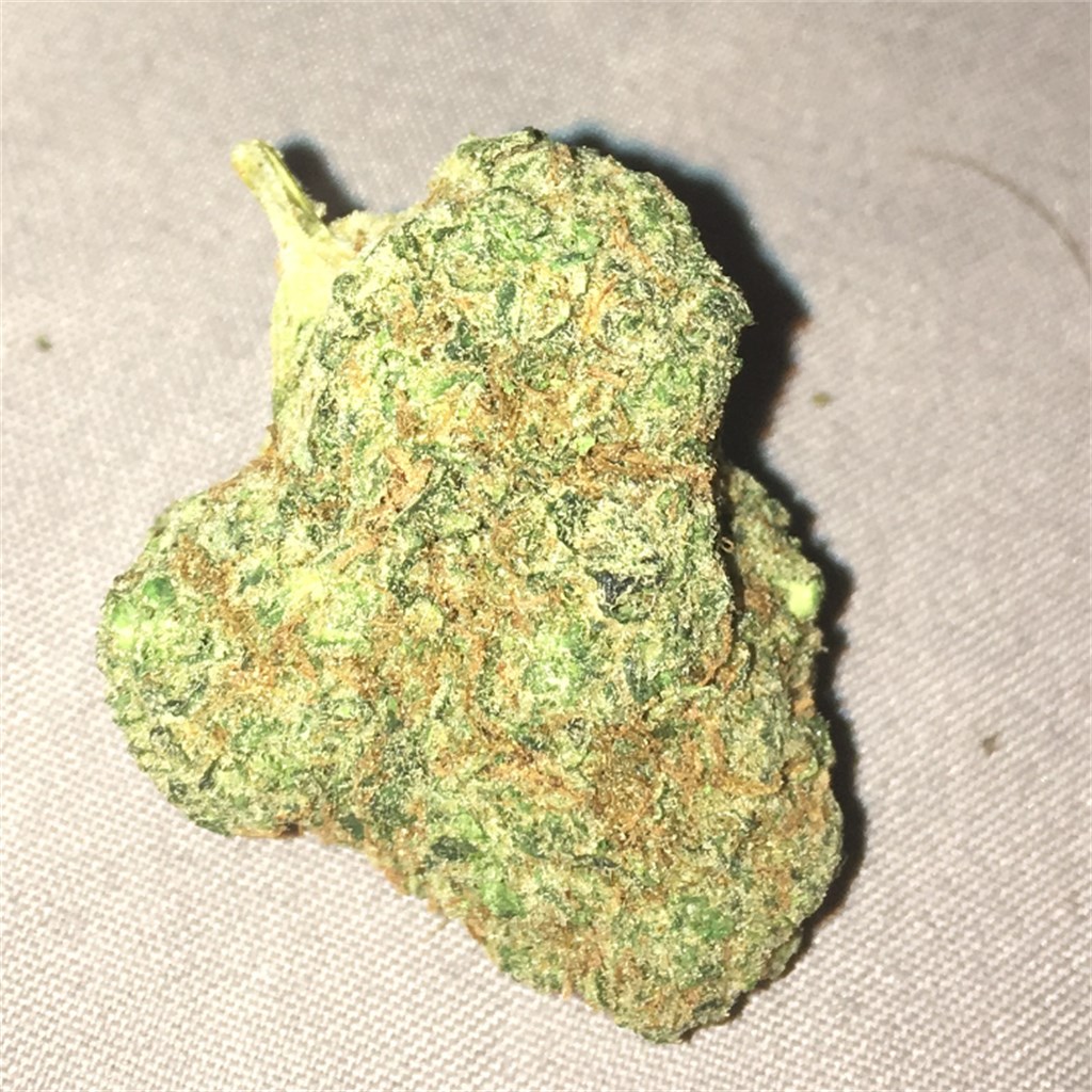 Foto de la variedad Holy Ghost