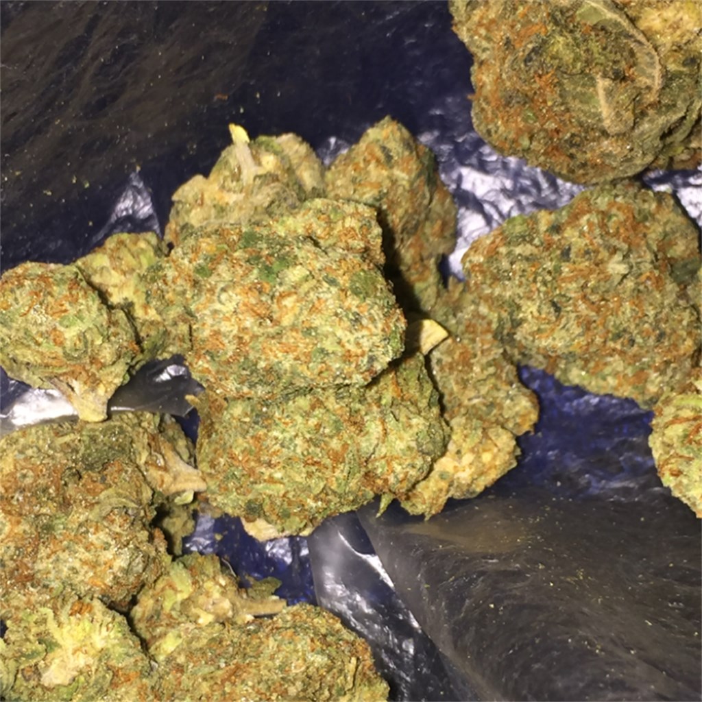 Foto de la variedad Holy Grail OG