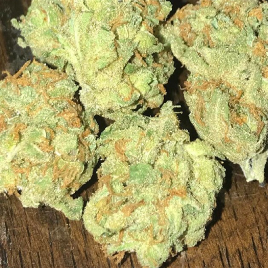 Foto de la variedad Honey Rock