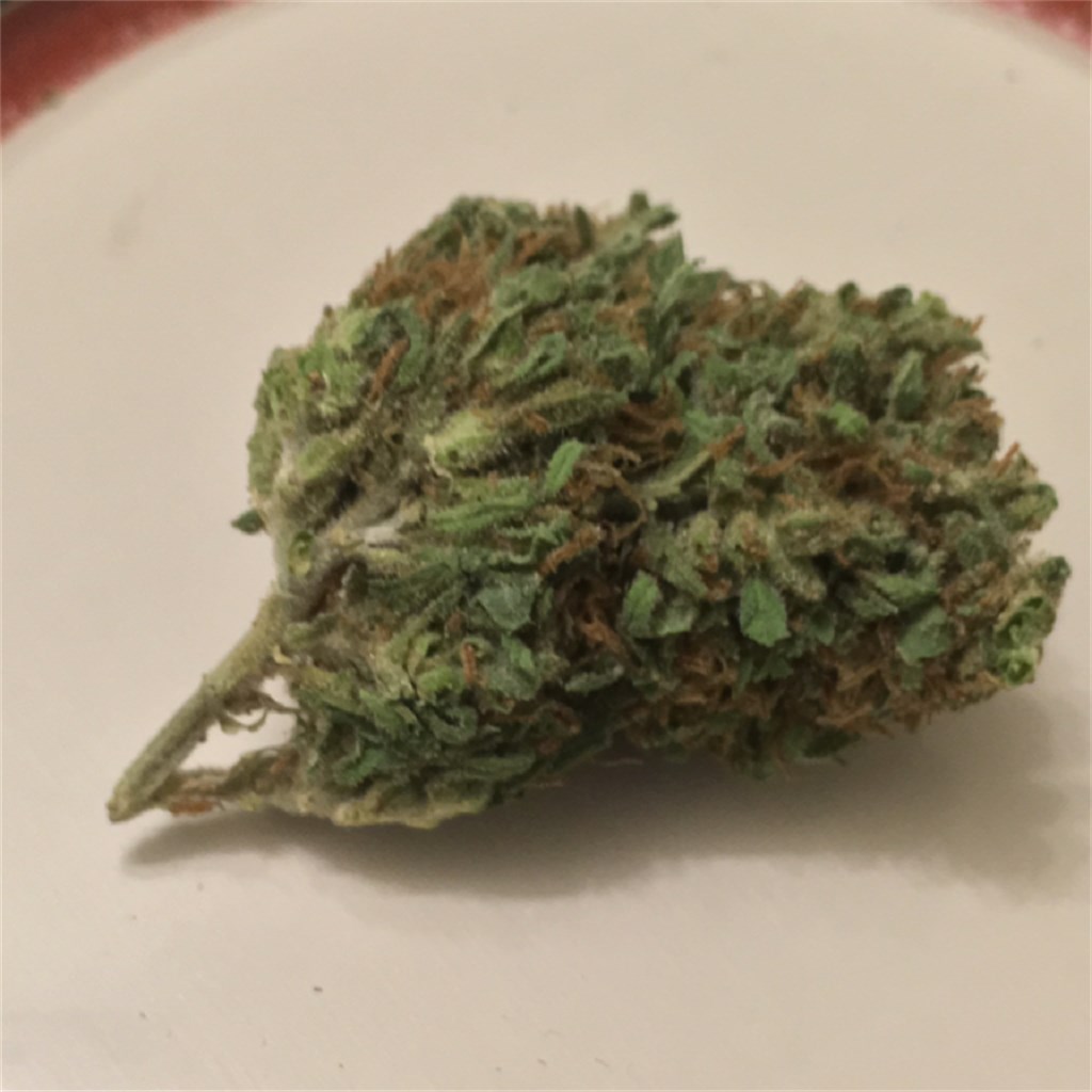 Hoodwreck