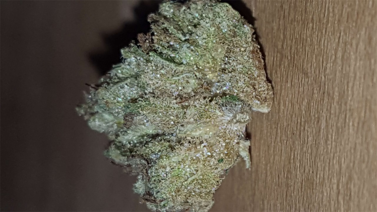 Foto de la variedad Humboldt