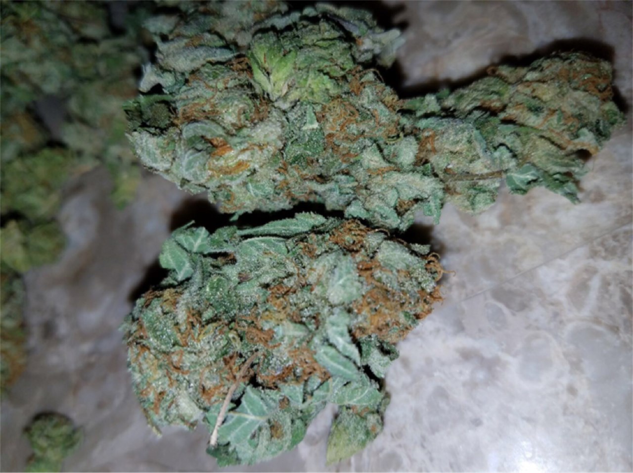 Ig Kush