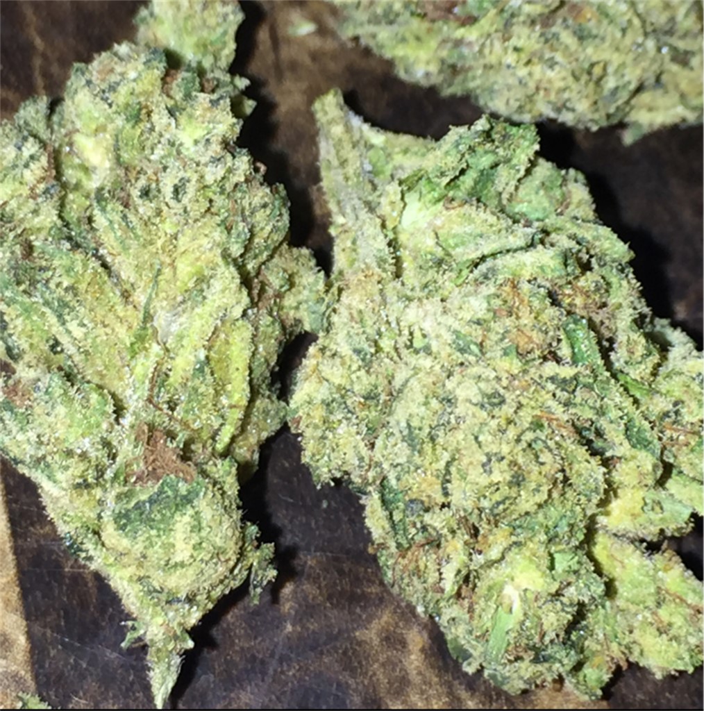Irene OG