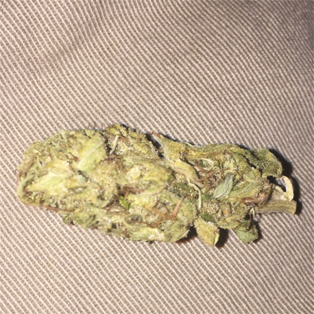Foto de la variedad Iron Triangle