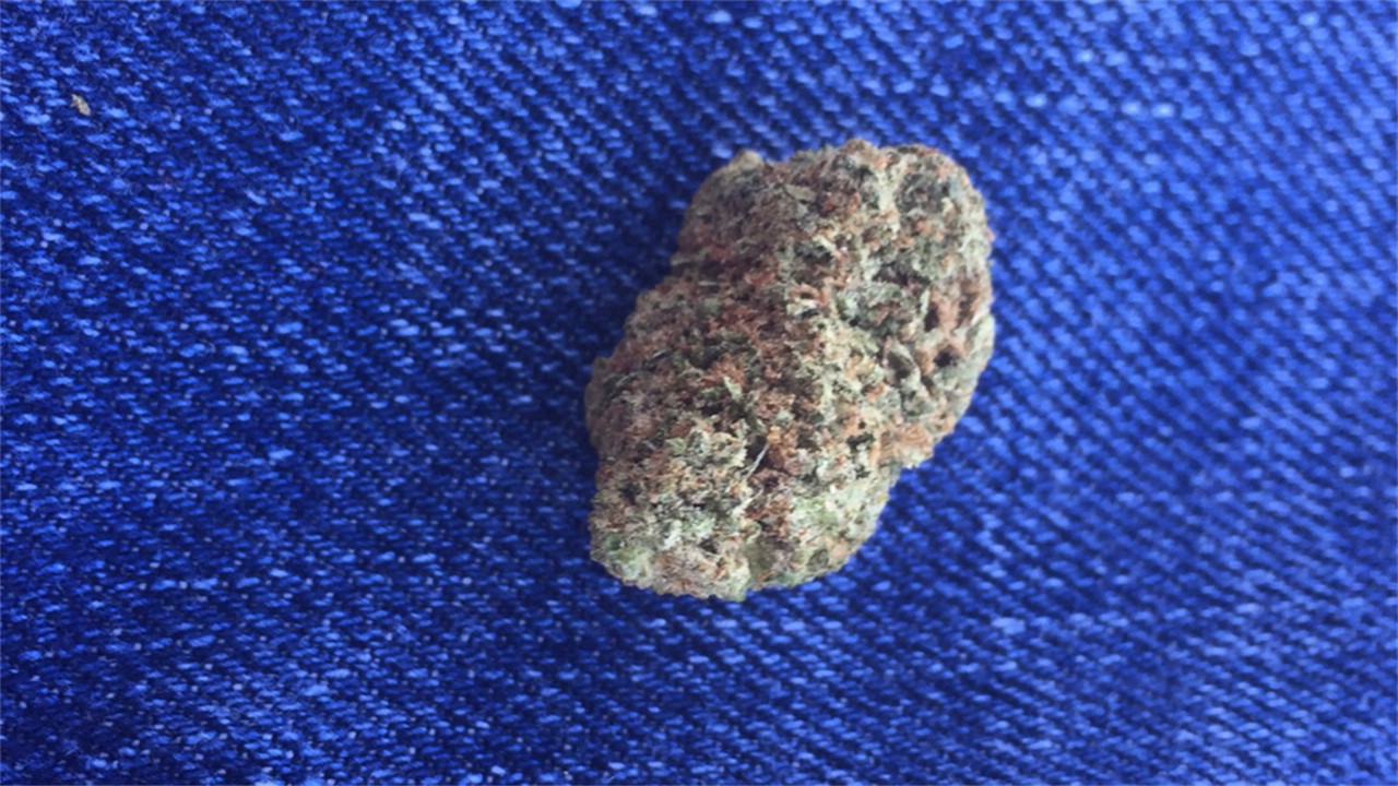 Foto de la variedad Maui Haze