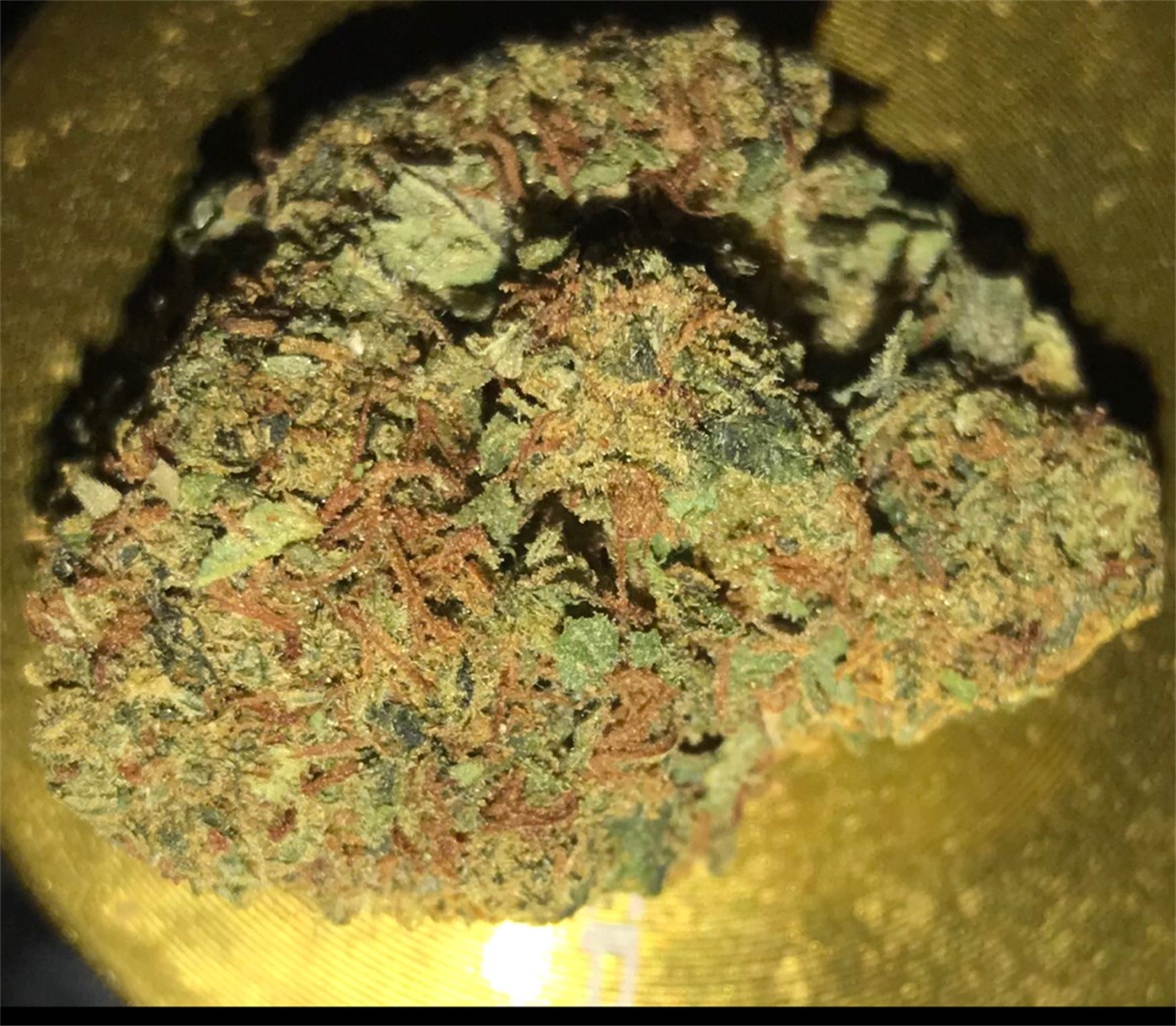 Foto de la variedad Island Sweet Skunk