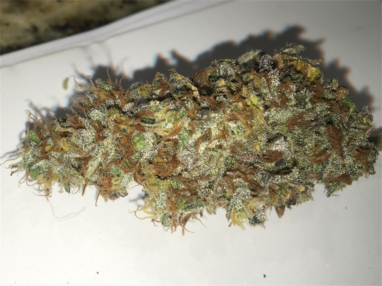 Jack Diesel
